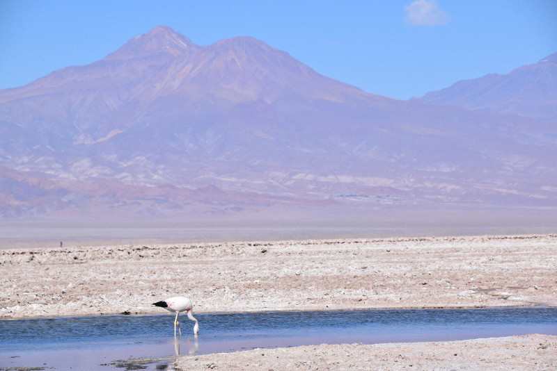 ウユニ塩湖でも水不足　重要鉱物の採掘で、水資源が危機　国連大（毎日新聞）