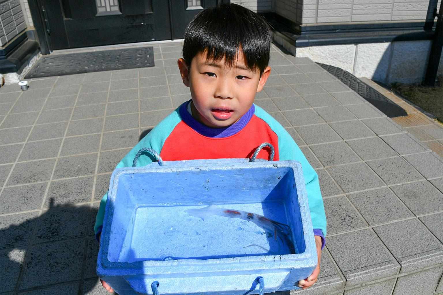 釣りの親子が生きた“幽霊”イカ発見・回収　南房総市の富浦新港　博物館で標本に（千葉県）（房日新聞）